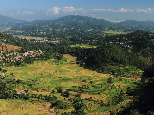 chitwan